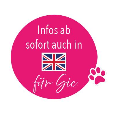Hinweis, dass unsere Homepage nun auch auf Englisch abrufbar ist