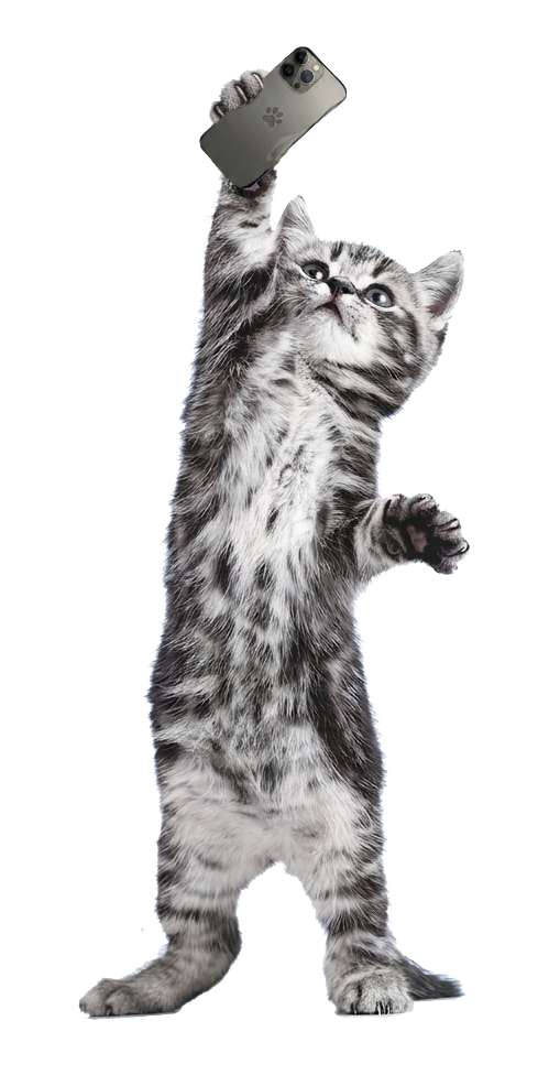 Melden Sie sich bei mir, Anita Graf, Kleintierpension